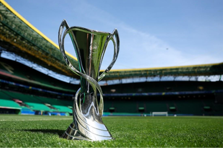 A trophy on a grass field  AI-generated content may be incorrect.