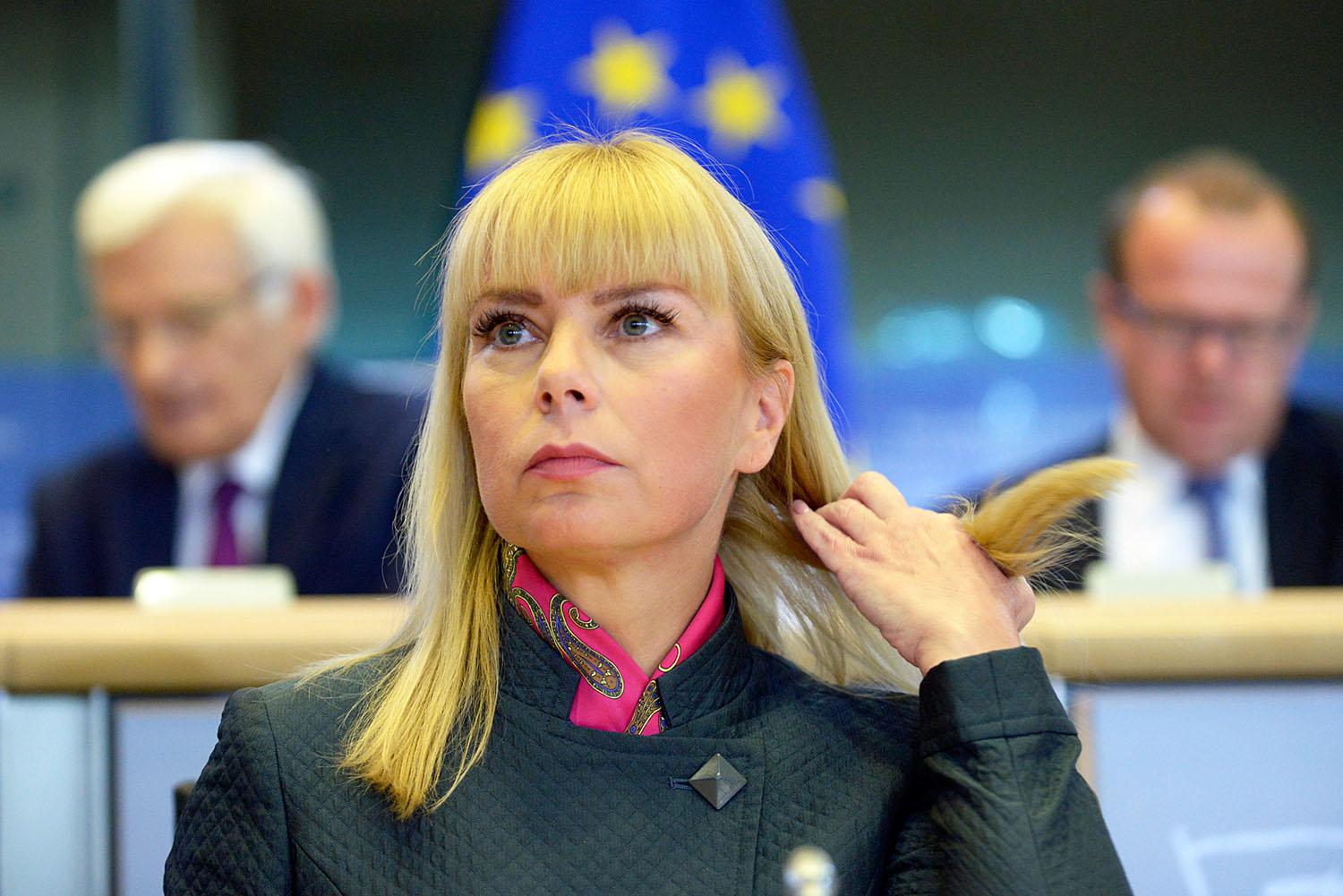 Elżbieta Bieńkowska belső piaci biztos korábban már jelezte az aggályait